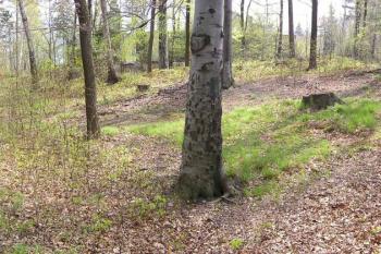 Vnitřní plocha šancí od severovýchodu ( © Jan P. Štěpánek 05/2005)