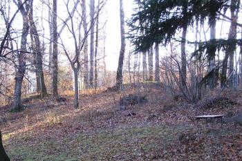 Pohled na terénní náznaky šancí od severu ( © Jan P. Štěpánek 01/2007)