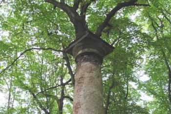  (© de ardoise 05/2005)