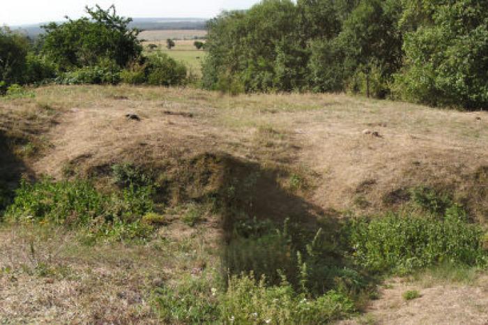 Dolní Polžice