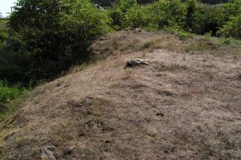 Okraj vnitřního prostoru tvrziště a eskarpa příkopu ( © Filip Matoušek 08/2003)