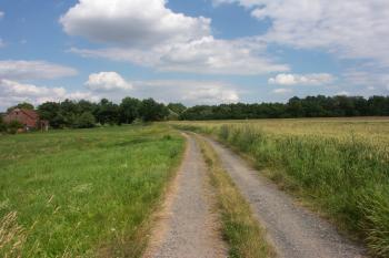cesta ke hradišti ( © Milan Caha 06/2008)