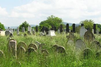 pohled na část holešovského židovského hřbitova ( © Jan P. Štěpánek 05/2008)