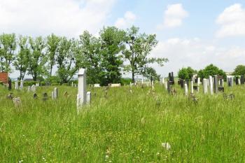 celkový pohled na židovský hřbitov v Holešově ( © Jan P. Štěpánek 05/2008)
