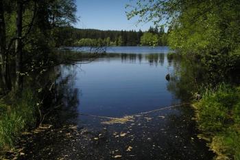 Kladský rybník (© Daniela Endrštová, 6/2006)