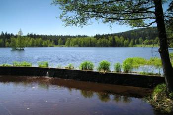 Kladský rybník (© Daniela Endrštová, 6/2006)