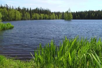 Kladský rybník (© Daniela Endrštová, 6/2006)