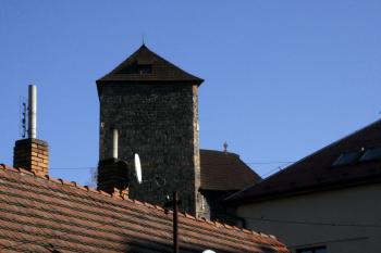  ( © Iva Spurná 15.11.2009)