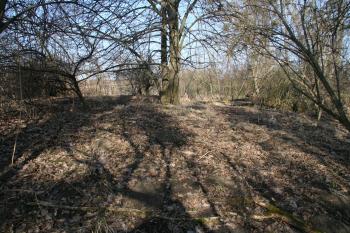 vrcholné partie motte ( © Petr Nožička 03/2011)