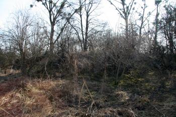 celkový pohled na tvrziště od západu ( © Petr Nožička 03/2011)