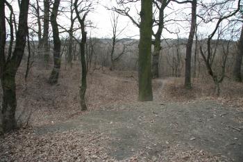 Pohled na předsunutý val ( © Petr Nožička 03/2011)