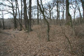 Předsunutý val z vnější strany ( © Petr Nožička 03/2011)