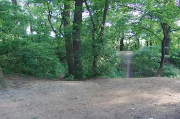 Pohled z jádra na jihozápad ( © Roman Řezáč 05/2005)