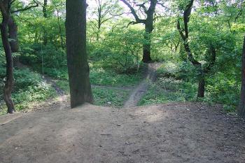 Pohled z jádra jižním směrem ( © Roman Řezáč 05/2005)