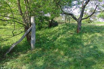 Západní strana pahorku ( © Roman Řezáč 05/2005)