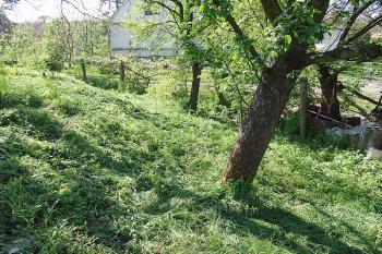Severní část pahorku ( © Roman Řezáč 05/2005)