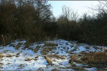  ( © Petr Turyna 01/2006)