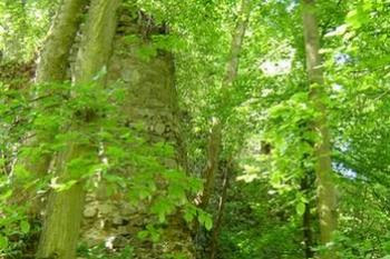 Týřov (© Tomáš Marek, 05/2007)