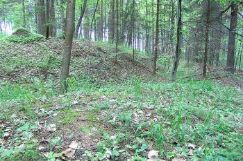 Zachovaný příkop a val na severní straně ( © Roman Řezáč 05/2005)
