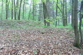 Na severozápadě se trvziště postupně srovnává s okolním terénem ( © Roman Řezáč 05/2005)
