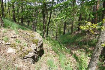 Příkop na severovýchodní straně ( © Roman Řezáč 05/2005)