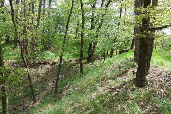 Příkop na severovýchodní straně vydělující opevnění od pokračování výběžku ( © Roman Řezáč 05/2005)
