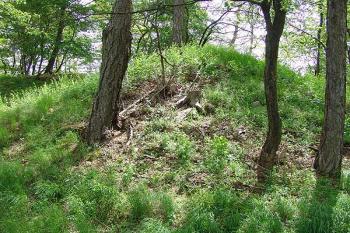 Val před příkopem na severovýchodní straně ( © Roman Řezáč 05/2005)