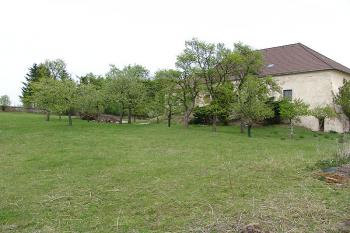 Náznaky příkopu mezi stromy na západní straně ( © Roman Řezáč 05/2005)