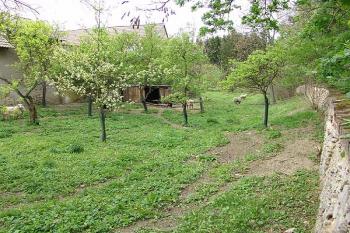 Příkop na východní straně ( © Roman Řezáč 05/2005)
