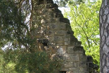Zřicenina hradu Valdštejn (© Vlastislav Mareček, 04/2011)
