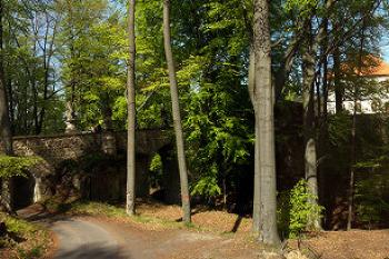 Valdštejn ( © Radovan Smokoň 04/2007)