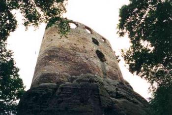  (2003 ©Petr Šantrůček)