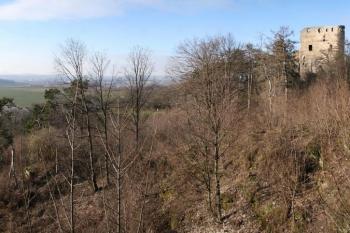 pohled na hrad od skalních bytů ( © Stanislav Drda 02/2008)