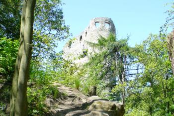 Valečov - pohled na hradní palác od západu (© Pavel Jarý, 04.05.2008)