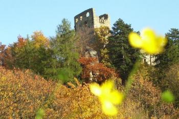  (© Radek Kos, 10/2008)
