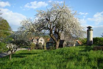 Boží muka na vrcholku mohyly ( © Miroslav BITTER 05/2008)