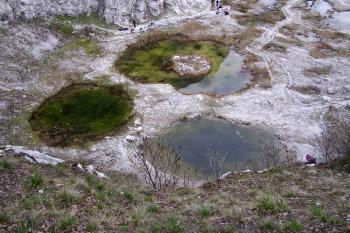 Jezírka v zadní části arboreta ( © Jan P. Štěpánek 04/2007)