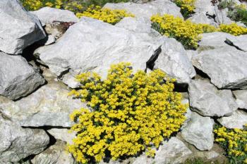  ( © Jan P. Štěpánek 05/2005)