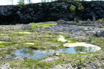 Močálová jezírka na dně starého lomu ( © Jan P. Štěpánek 05/2005)