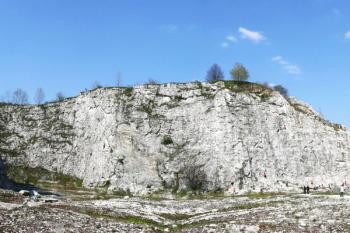 pohled na jihovýchodní stěnu Botanické zahrady ( © Jan P. Štěpánek 05/2008)