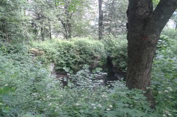 Horní pohled na jeskyni ( © Ivo Rozehnal 06/2019)