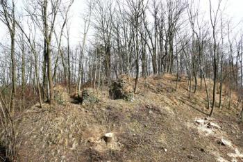 pohled na  vstupní část hradu s pozůstatky vstupní branské věže ( © Jan P. Štěpánek 03/2011)