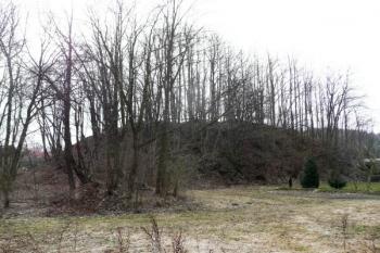 celkový pohled na hrad od severozápadu ( © Jan P. Štěpánek 03/2011)