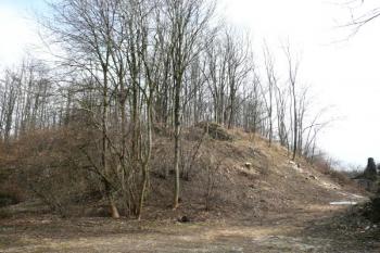 pohled na hrad od jihozápadu ( © Jan P. Štěpánek 03/2011)