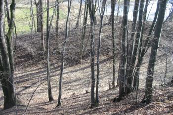 příkop na východní straně (© D Dohňanský, 03/2015)