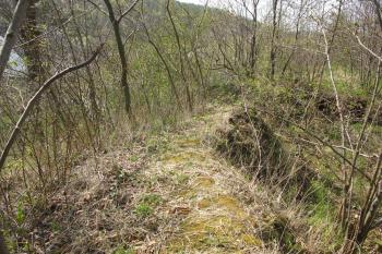 Linie jv. plášťové zdi (© Dušan Dohňanský 04/2020)