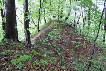  ( © Jan P. Štěpánek 06/2005)
