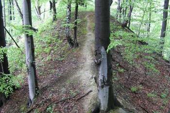  ( © Jan P. Štěpánek 06/2005)