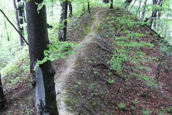  ( © Jan P. Štěpánek 06/2005)