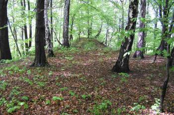  ( © Jan P. Štěpánek 06/2005)